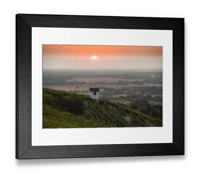 Framed Print : France-Vineyard-Feature