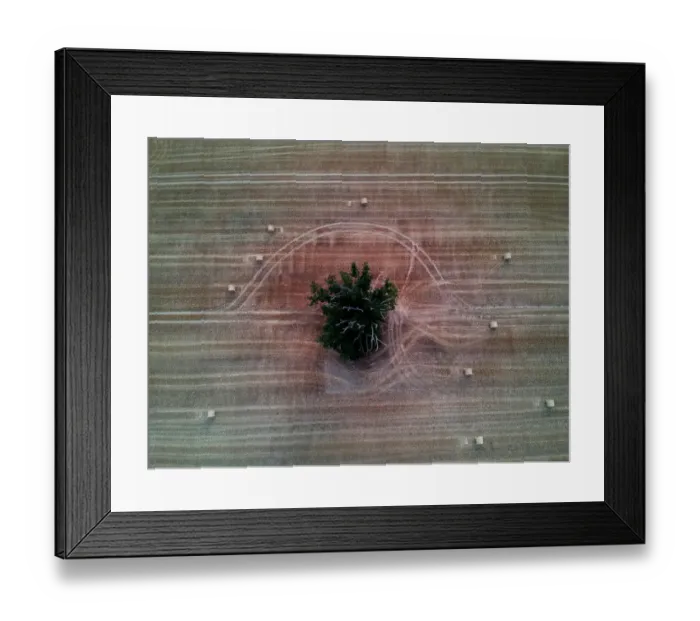 Framed Print : France-Agriculture Framed Print : France-Agriculture