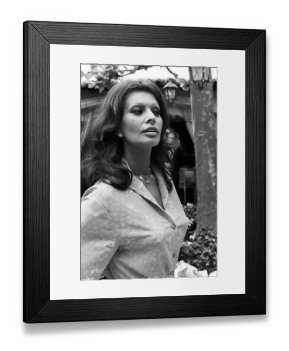 Framed Print : France-Cannes-Festival-Sophia Loren Framed Print : France-Cannes-Festival-Sophia Loren