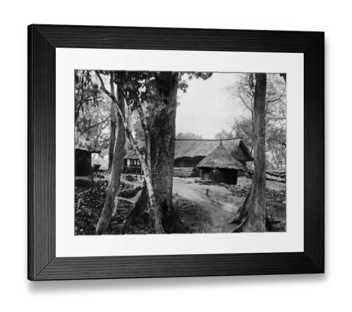 Framed Print : Africa-Illustration-Population Framed Print : Africa-Illustration-Population