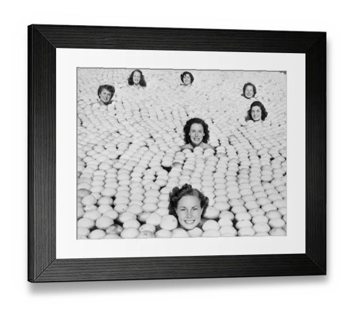 Framed Print : Us-Queen of Lemon