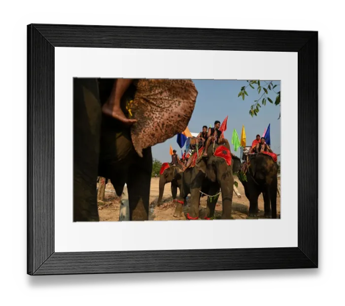 Framed Print : Vietnam-Animal-Elephant-Festival