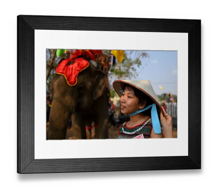 Framed Print : A spectator waits for the start of the elephant race during the Buon Don elephant festival in Vietnams central highlands of Dak Lak province