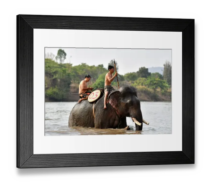 Framed Print : Mahout Y Hoi Bya (L) rides his elephant named Kham Sinh