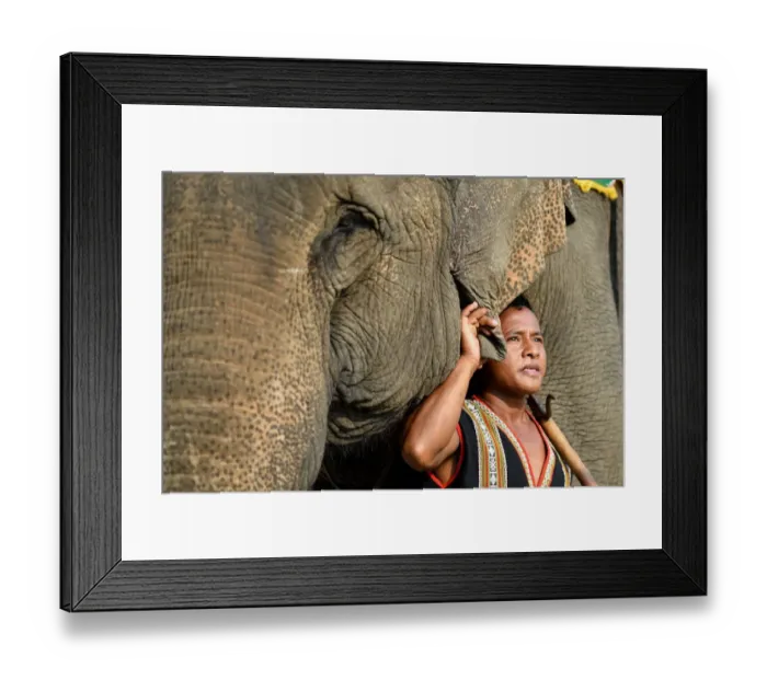 Framed Print : A Mahout poses with his elephant