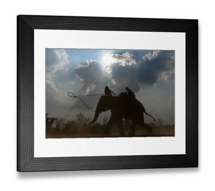 Framed Print : Vietnam-Animal-Elephant-Festival Framed Print : Vietnam-Animal-Elephant-Festival