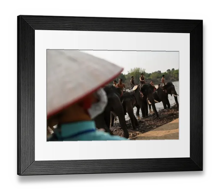 Framed Print : Vietnam-Animal-Elephant-Festival
