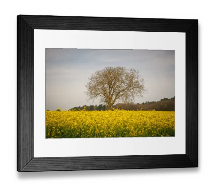 Framed Print : France-Nature-Feature Framed Print : France-Nature-Feature