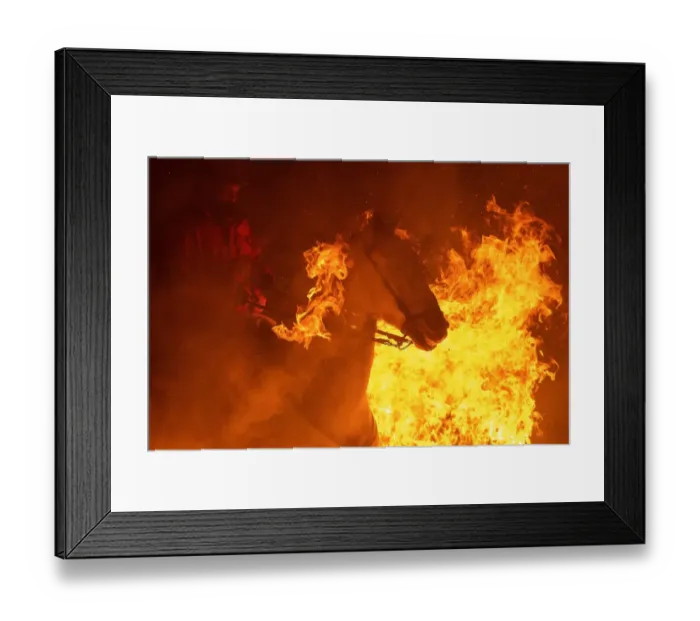 Framed Print : Spain-Festival-Luminarias-Animals
