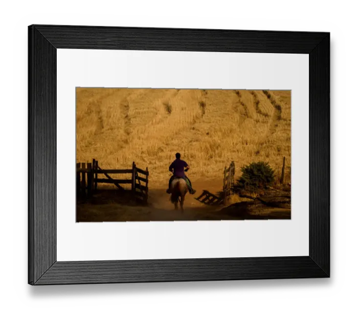 Framed Print : Chile-Forest-Fire-Feature