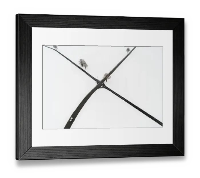 Framed Print : Switzerland-Animal-Weather-Snow