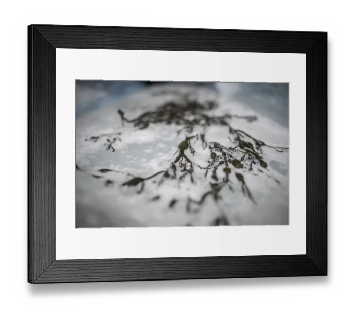 Framed Print : Surfing-Lofoten-Ice Board-Photo Essay Framed Print : Surfing-Lofoten-Ice Board-Photo Essay