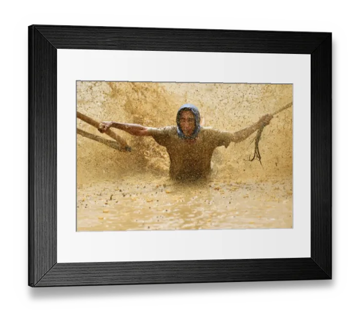 Framed Print : Indonesia-Culture-Traditional-Sport-Bull-Race