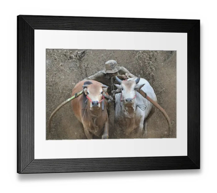 Framed Print : Indonesia-Tradition Framed Print : Indonesia-Tradition