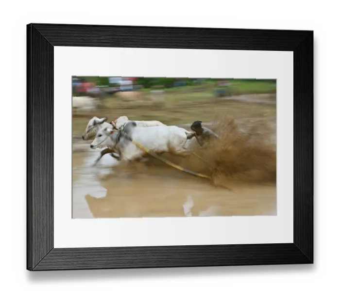Framed Print : Indonesia-Tradition