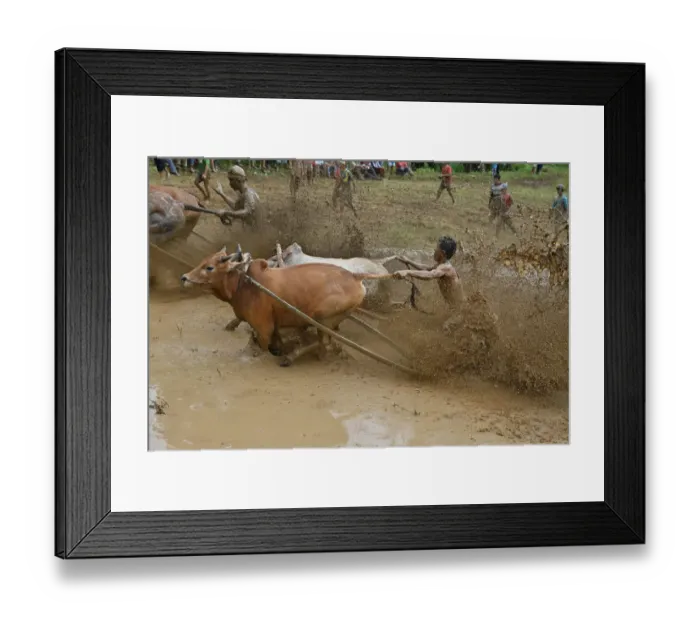 Framed Print : Indonesia-Tradition