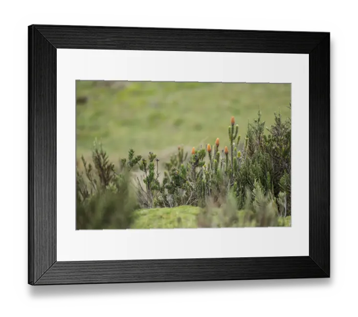 Framed Print : Ecuador-Water-Glacier-Melting