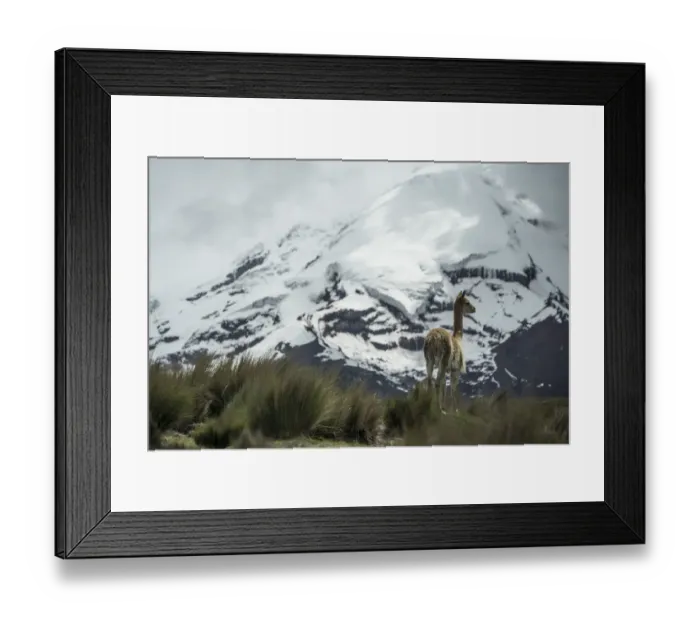 Framed Print : Ecuador-Water-Glacier-Melting