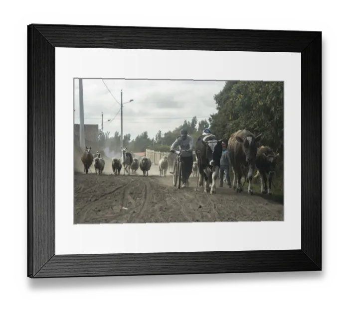 Framed Print : Ecuador-Water-Glacier-Melting