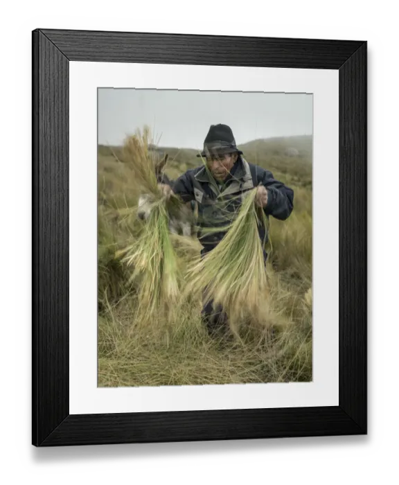 Framed Print : Ecuador-Water-Glacier-Melting Framed Print : Ecuador-Water-Glacier-Melting