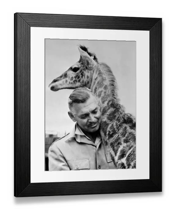 Framed Print : Boi-Clark Gable