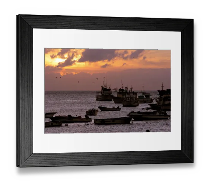Framed Print : Ecuador-Galapagos Framed Print : Ecuador-Galapagos