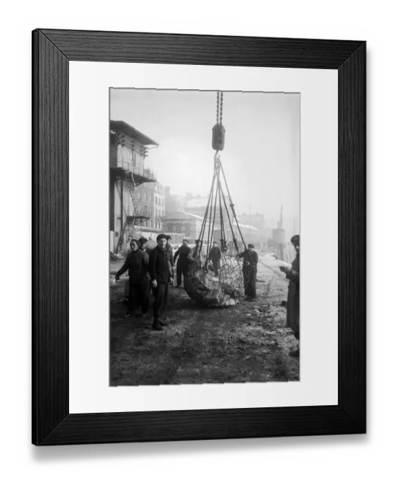 Framed Print : France-Transport-Train-Ferry-Paris-London