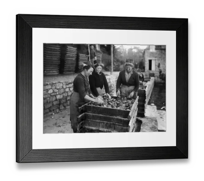 Framed Print : France-Brittany-Oysters Framed Print : France-Brittany-Oysters