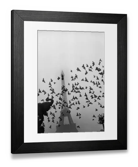 Framed Print : Flight of pigeons in front of the Eiffel Tower