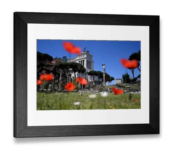 Framed Print : Italy-Rome-Culture-Heritage-Archaeology-Tourism Framed Print : Italy-Rome-Culture-Heritage-Archaeology-Tourism