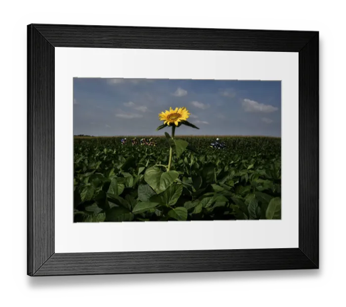 Framed Print : CYCLING-FRA-TDF2018-BREAKAWAY Framed Print : CYCLING-FRA-TDF2018-BREAKAWAY