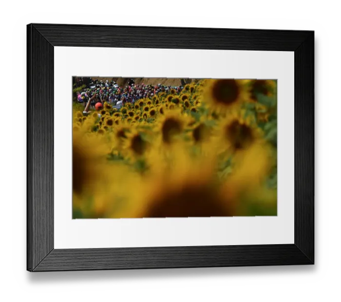 Framed Print : CYCLING-FRA-TDF2019-PACK-POSTCARD Framed Print : CYCLING-FRA-TDF2019-PACK-POSTCARD