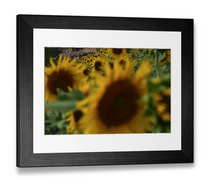 Framed Print : CYCLING-FRA-TDF2019-PACK-POSTCARD