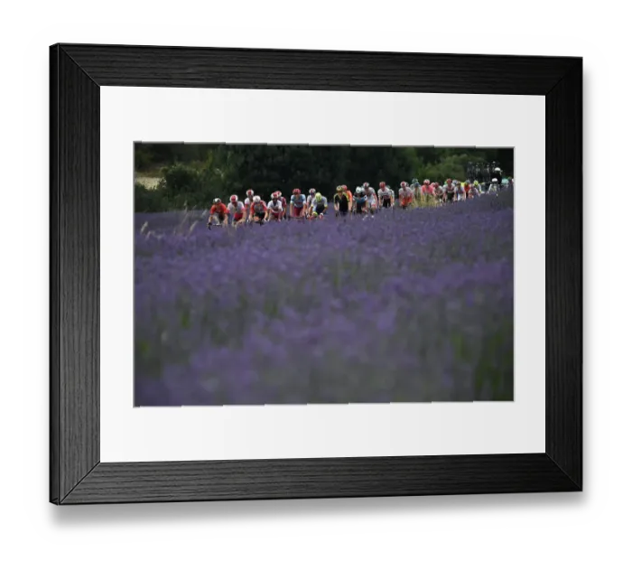 Framed Print : CYCLING-FRA-TDF2019-POSTCARD-PACK