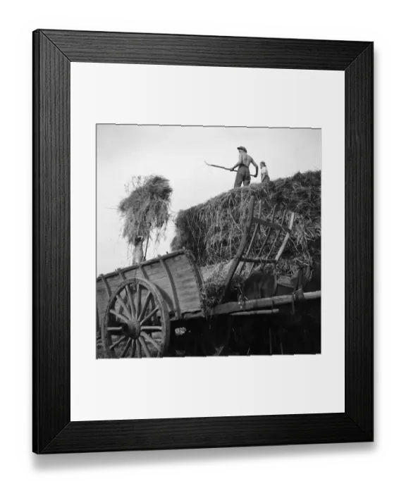 Framed Print : FRANCE-AGRICULTURE