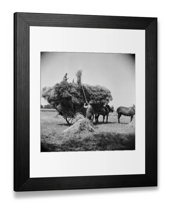 Framed Print : FRANCE-AGRICULTURE