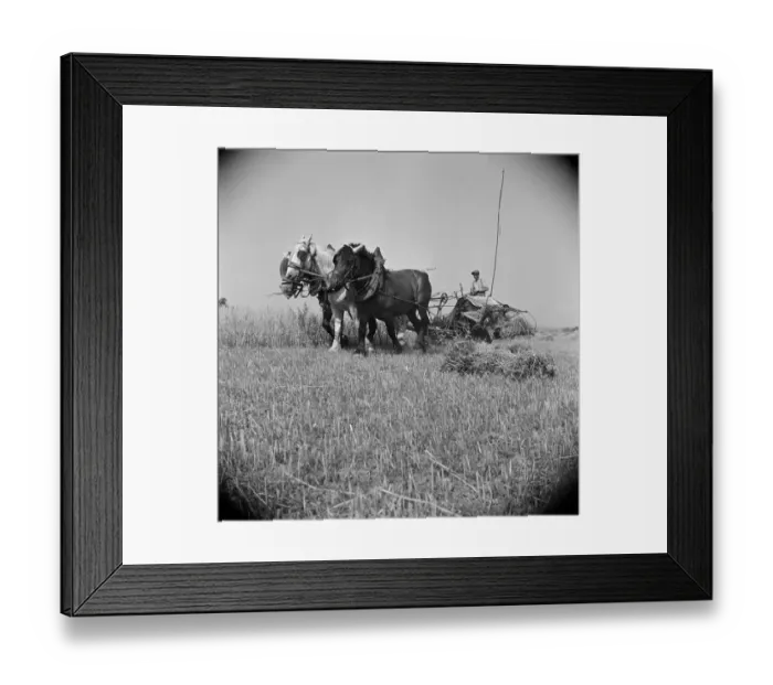 Framed Print : FRANCE-AGRICULTURE