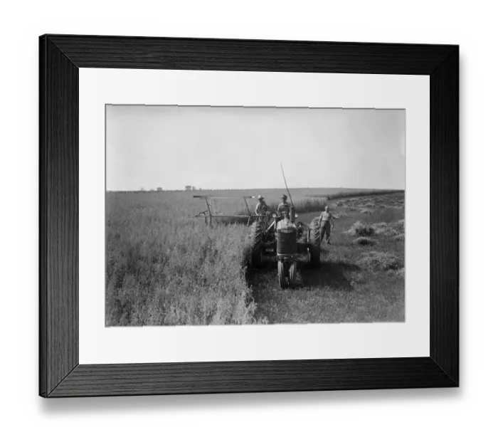 Framed Print : FRANCE-AGRICULTURE Framed Print : FRANCE-AGRICULTURE