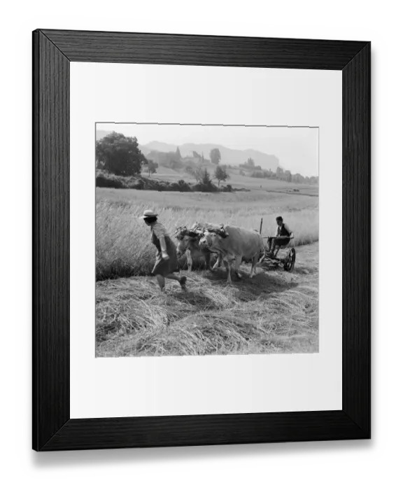 Framed Print : FRANCE-AGRICULTURE Framed Print : FRANCE-AGRICULTURE