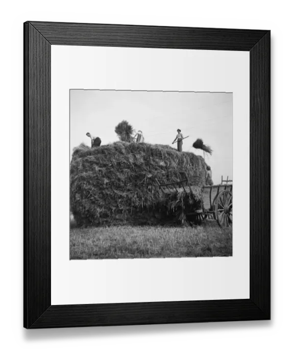 Framed Print : FRANCE-AGRICULTURE