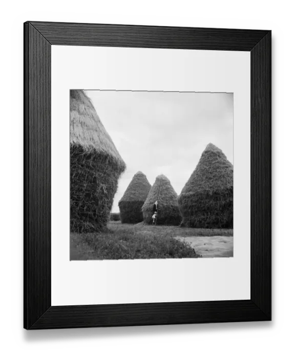 Framed Print : FRANCE-AGRICULTURE Framed Print : FRANCE-AGRICULTURE