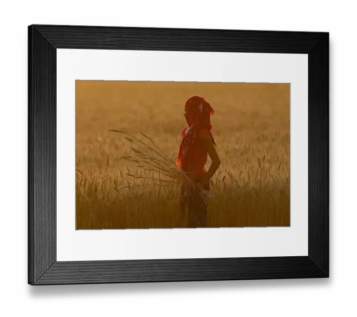 Framed Print : INDIA-ECONOMY-AGRICULTURE Framed Print : INDIA-ECONOMY-AGRICULTURE