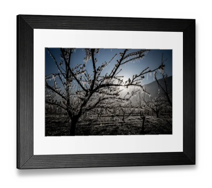 Framed Print : SWITZERLAND-AGRICULTURE-WEATHER-NATURE Framed Print : SWITZERLAND-AGRICULTURE-WEATHER-NATURE