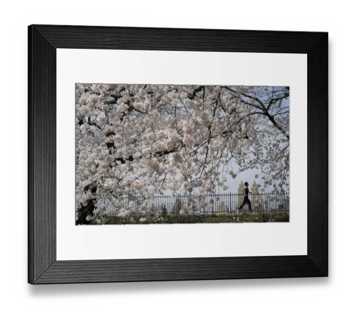 Framed Print : US-LIFESTYLE-NEWYORK-WEATHER Framed Print : US-LIFESTYLE-NEWYORK-WEATHER