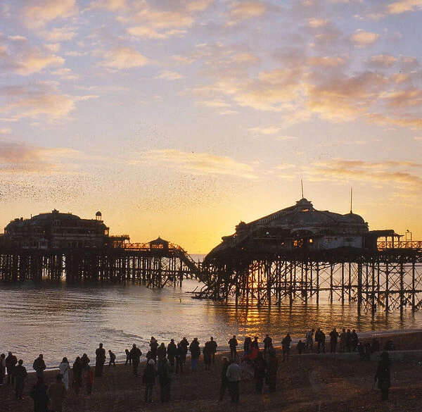 Brighton West Pier - Sunset