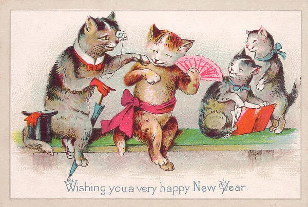 Four cats on a New Year card