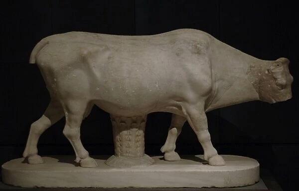 Cow. Pentelic marble. Copy after a bronze statue by Myron (4