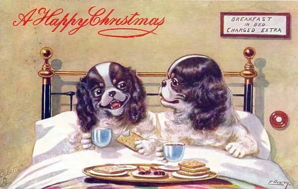 Two dogs in bed on a Christmas postcard