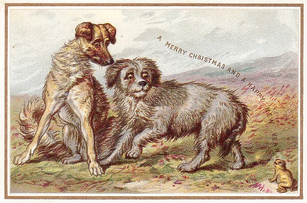 Two dogs and frog on a Christmas and New Year card