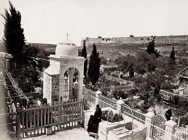 Garden of Gethsemane, Jeruslam, Holy Land, modern Israel